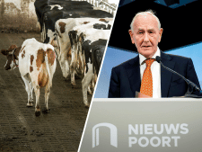 Veel vragen in Utrecht na rapport Remkes, maar opvallende rust in Gelderland: ‘Boeren zijn niet gek’