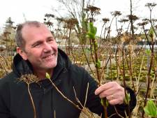 Zo voorkom je een slagveld in je tuin als het straks tóch flink gaat vriezen