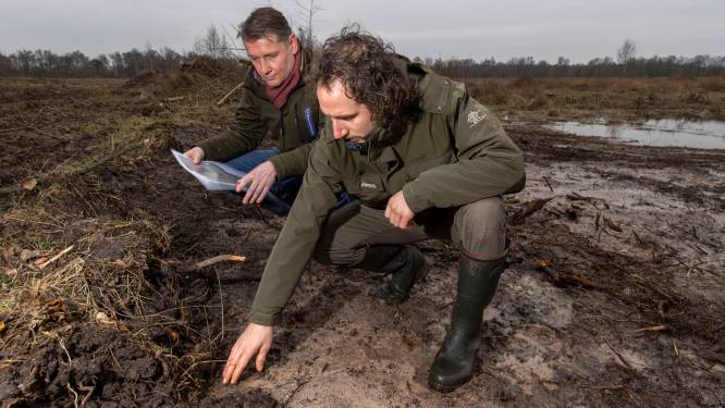 Wetenschap­pers onderzoe­ken kroonju­weel in Twentse natuur: redt het Witte Veen ons klimaat?