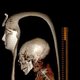 CT-scan werpt nieuw licht op de mummie van farao Amenhotep I