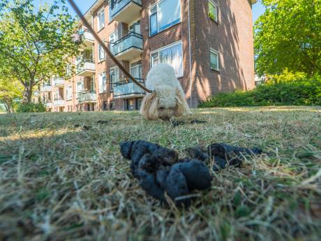 Zo hoog is de hondenbelasting in de gemeente Tilburg