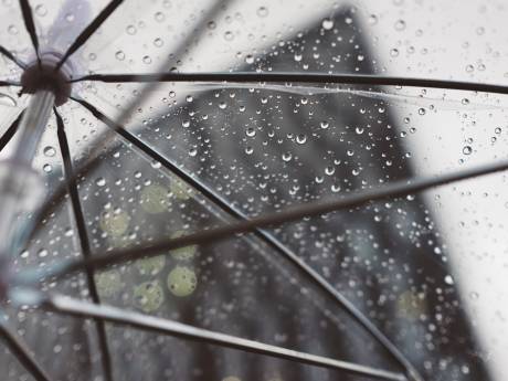 Vandaag kans op lichte regen in Zwolle