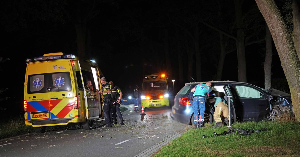 Auto tegen boom in Pesse