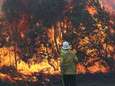 Honderden mensen op de vlucht voor bosbranden in Australië