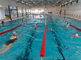 De Zwem4daagse in Staphorst gaat op 30 april van start.