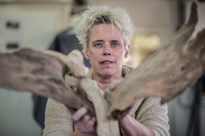 Kunstenares Marjo Wiltingh herstelt van een ernstig motorongeluk en begint weer langzaam met het creëren van kunstwerken. Zoals een vogelfiguur van sprokkelhout.