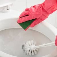 Hiermee poets je de wc snel brandschoon
