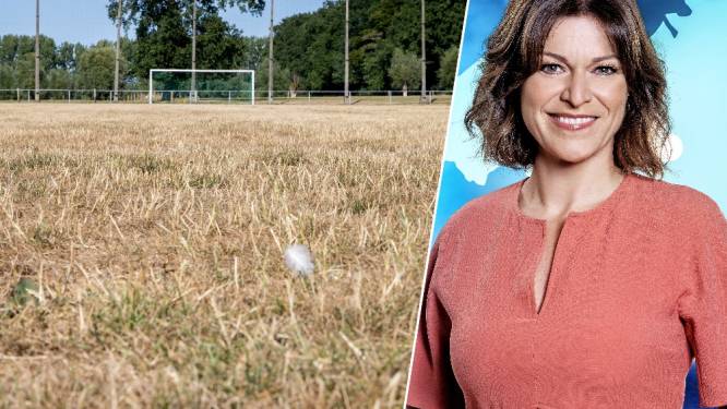 Ook in Vlaanderen zijn extra maatregelen wegens droogte onvermijdelijk: “We moeten beter nadenken over hoe we met water omgaan”