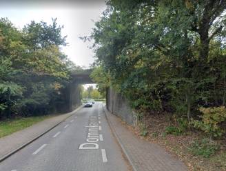 Na vervallen vergunning wordt spoorwegbrug Dominikanenlaan toch vernieuwd