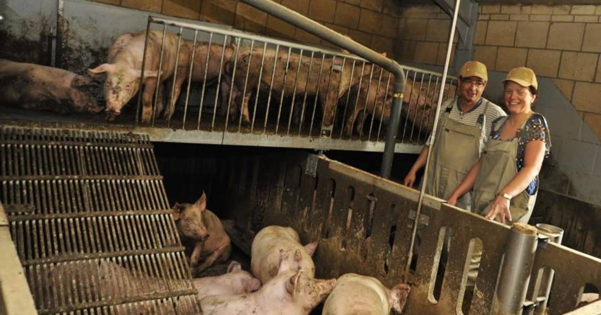 Oud Gastel Zoldertje maakt speeltuin van varkensstal Roosendaal