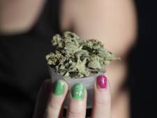 "Grattez, sentez et dénoncez vos voisins"