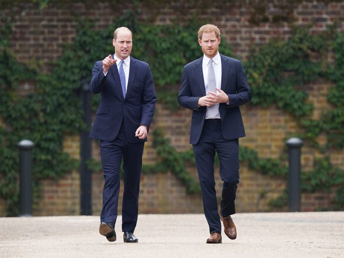 Prins William en Harry.