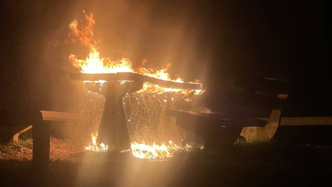 Vandalen steken picknicktafel in brand in Holten en slaan op de vlucht