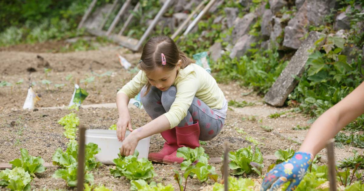Je Tuin Onderhouden In Tijden Van Waterschaarste Zo Pak Je Het Aan Tuintips Ad Nl