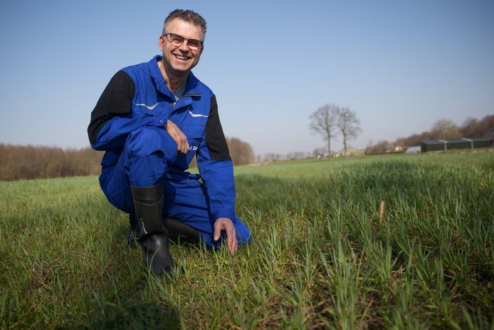 Kees Pijs van ijsboerderij Heidehoeve wil op termijn al zijn grasland inzaaien met kruidenrijk gras. Beter voor de bodem, beter bestand tegen droogte en een meer gevarieerd dieet voor de koeien.