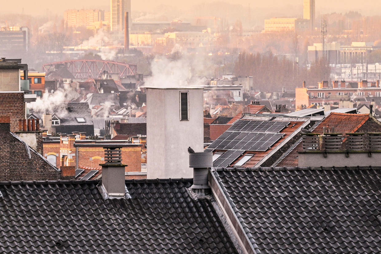 Hoe gevaarlijk is hout stoken? ‘Op termijn kan dit aan de basis liggen ...
