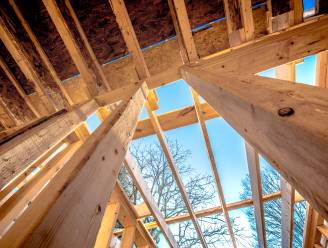 De oorlog in Oekraïne stuwt de prijzen van bouwmaterialen nog verder de hoogte in. Wat zijn de alternatieven?
