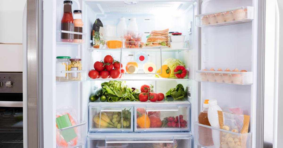 Zich afvragen Gehoorzaamheid klant Zo vaak moet je je koelkast schoonmaken om voedselvergiftiging te voorkomen  | Koken & Eten | AD.nl