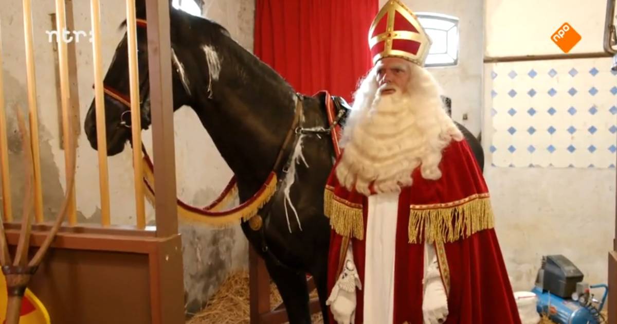 lucht In de genade van Krijgsgevangene Ruim 600.000 kijkers zien dat Sinterklaas' paard Ozosnel niet wit, maar  zwart is | Show | AD.nl