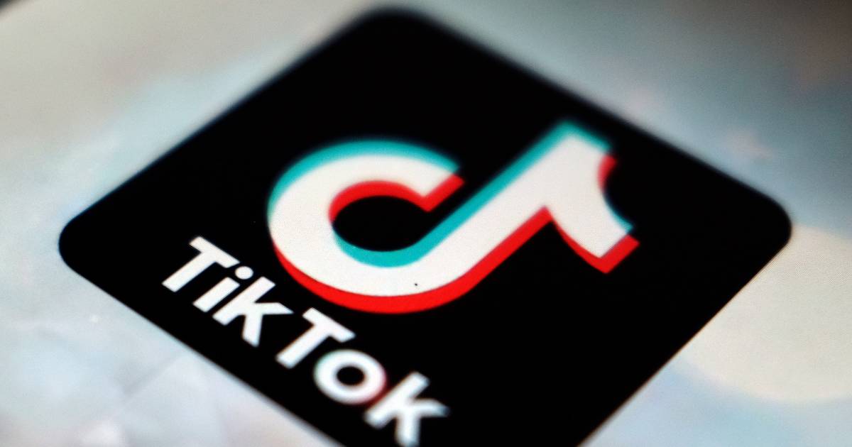 Politie pakt voortvluchtige man die op TikTok agenten te kijk zet - BN DeStem