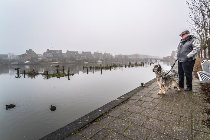De natuureilanden zinken. Bij het Fregatwerf is dat het ergst.