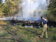 Brandweer heeft moeite met waterwinning bij bosbrand in Sint-Oedenrode