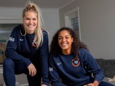 Sabbatical drijft firma Knip&Plak naar nieuwe initiatieven, of kijkt topvolleybal nog om de hoek?