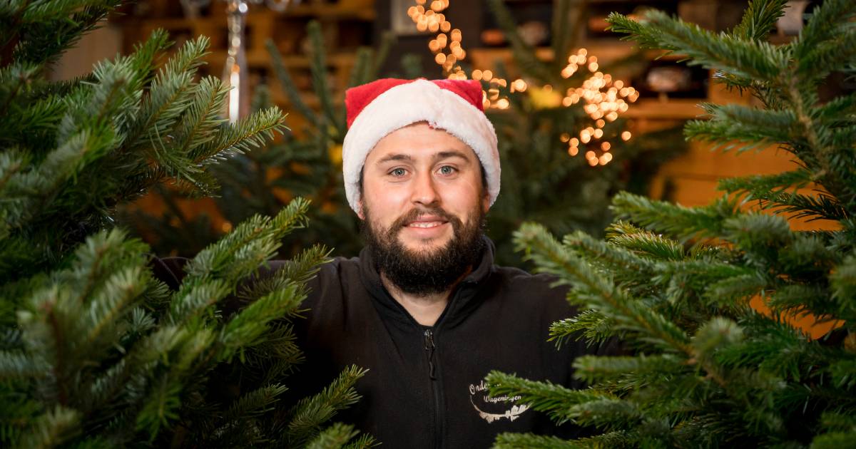 Kerstbomen te koop in Wagenings café Wageningen gelderlander.nl