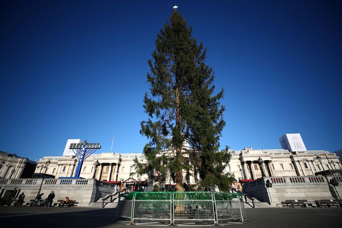 De kerstboom op Trafalgar Square, een cadeau van Oslo voor Londen.