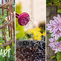 Dit kun je in maart doen voor een bloeiende tuin in de lente