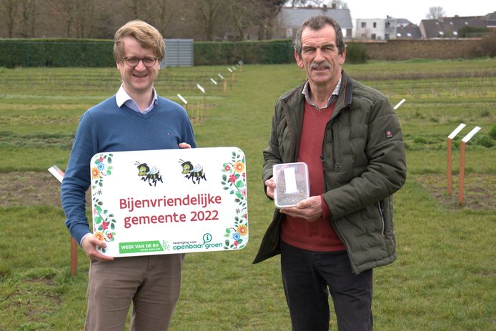 Milieuschepen Brecht Warnez en schepen van Groenonderhoud en Landbouw Hedwig Kerckhove op het bloemzaadwinningsperceel in Zwevezele.