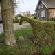 Rijkswaterstaat: meer dan 40 procent van de Nederlandse bermen is onveilig