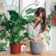 Planten verpotten? Dit zijn de signalen die aangeven wanneer dat nodig is