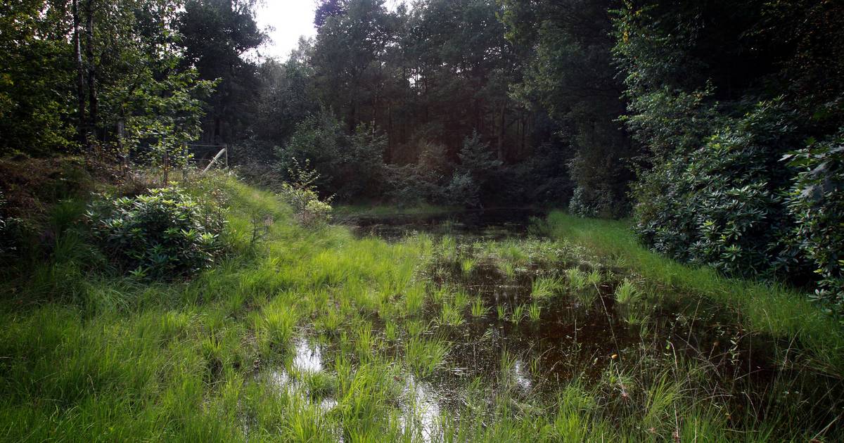 Natuurgebied Doeveren wordt een hectare groter