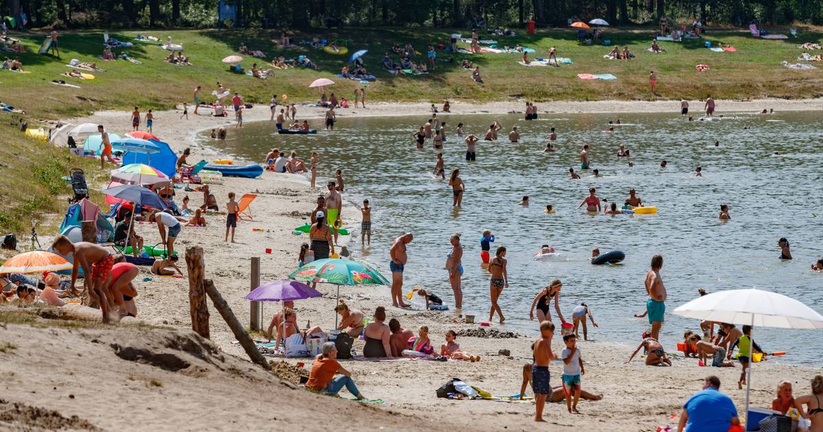 Kinderfeestje vieren, met je maten chillen of sportief zwemmen? Waterplas