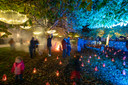 Sint-Truiden gaf zaterdag het startschot aan ‘Sint-Truiden by Lights’.