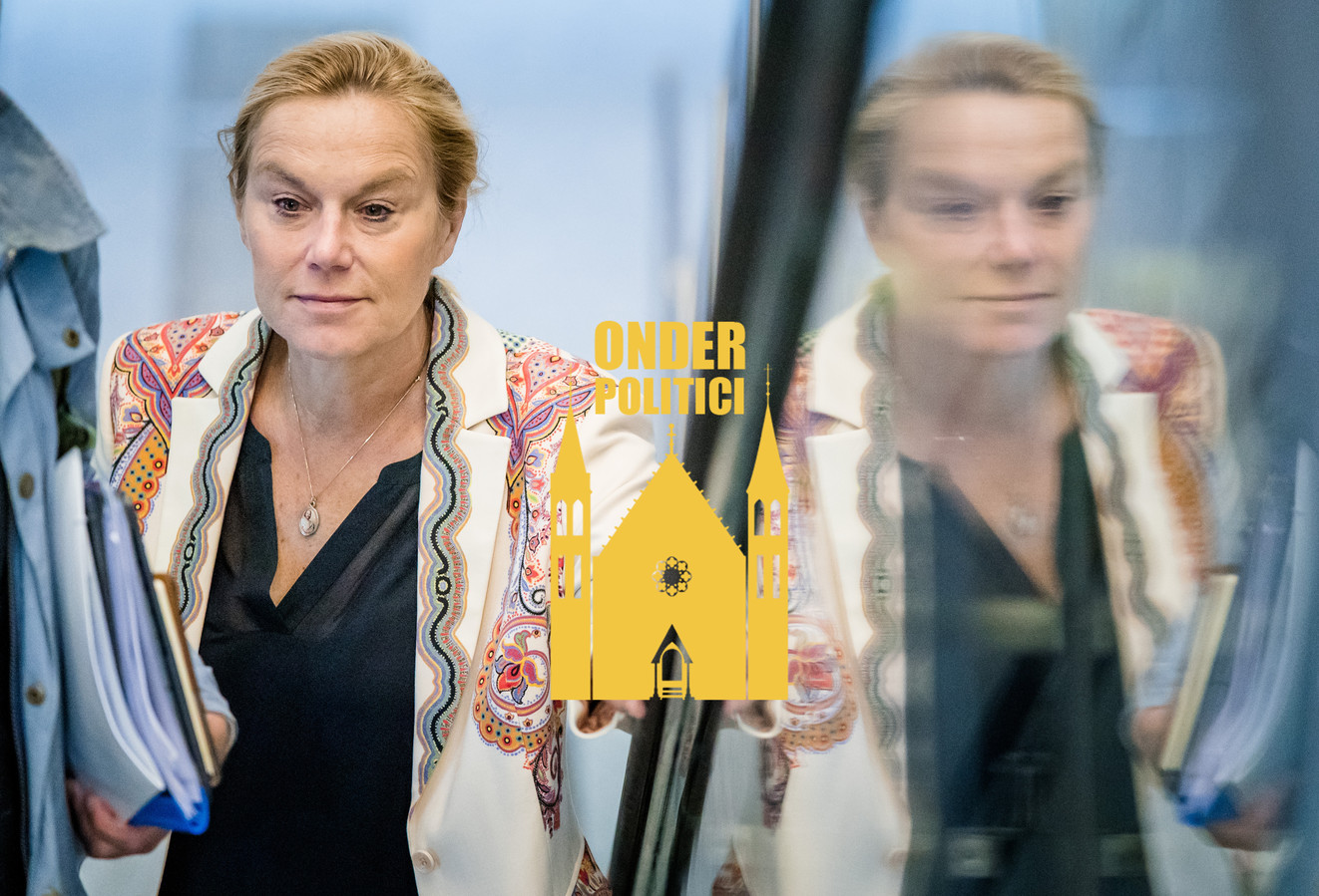 Deuk in imago Kaag ‘Mensen zeggen politici doen of ze willen verbeteren, maar zijn allemaal