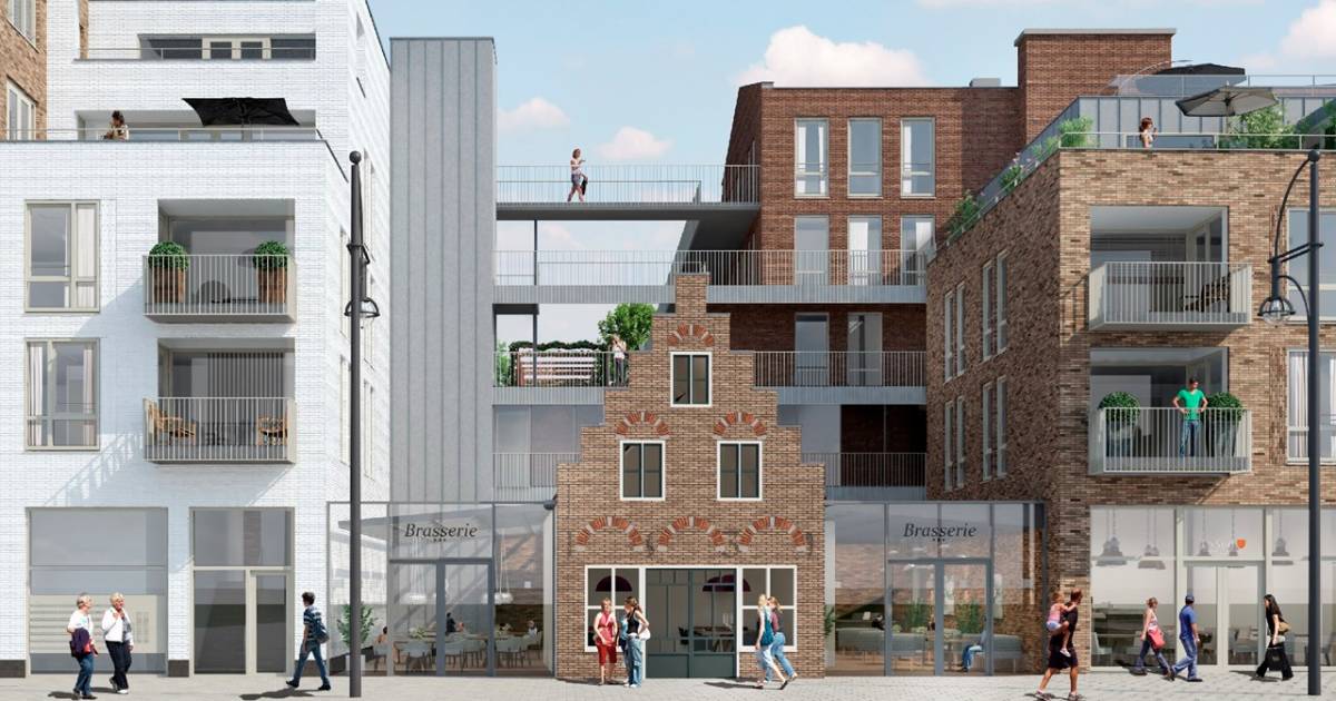 Brownies en Downies in schoenmakershuisje Westland AD.nl