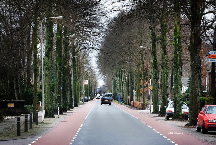 Asfalt wordt klinkers op Prins Bernhardlaan in Borne (maar dat gaat nog ...