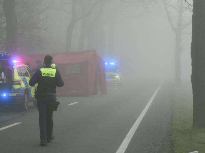 Man (50) overlijdt bij ongeval met speedpedelec in Wuustwezel, net over de Belgische grens
