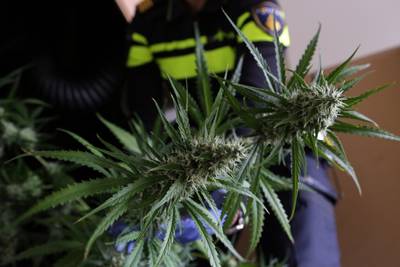 Politie vindt na tip grote hennepkwekerij in bedrijfspand in Ulft: twee arrestaties