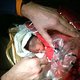 Nederlandse arts brengt baby ter wereld in vliegtuig boven Grote Oceaan