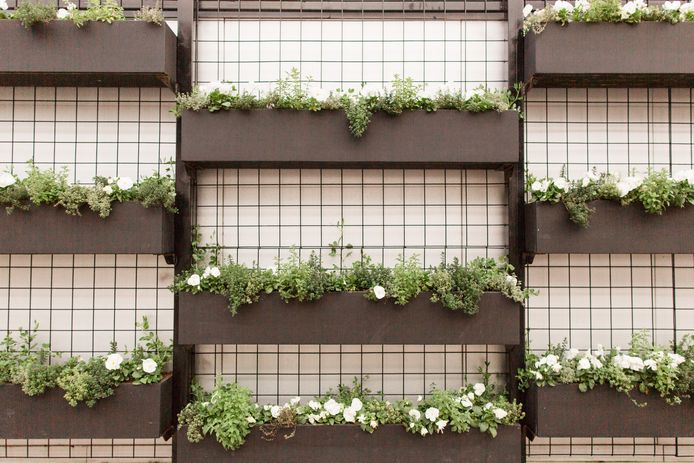 Vrolijk je saaie terrasmuur op met plantenbakken.