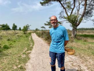 Puffen geblazen op Kalmthoutse Heide: “Wekelijkse wandeling gaat wat minder lang zijn”