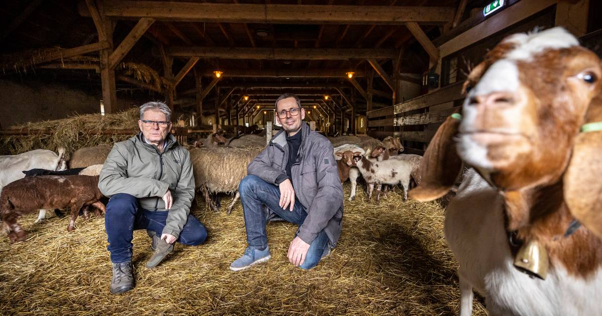 Het gpsschaap en de strijd tegen de boze wolf het graasseizoen op de