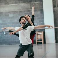 ‘Kunstvormen waar niemand nog om geeft’: heeft Timothée Chalamet een punt over ballet en opera?