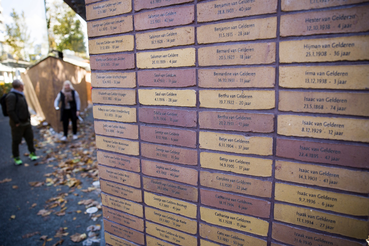 Il campione non è rappresentativo, le proporzioni sono state aggiunte a caso