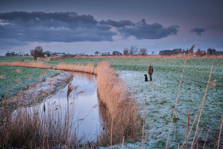 null Beeld Sjaak Verboom