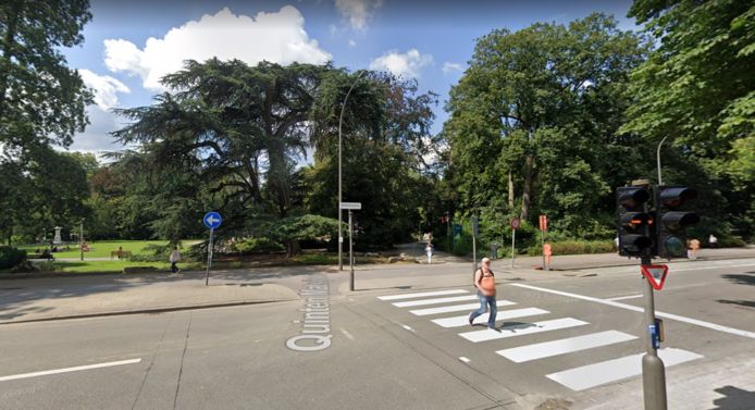 Max werd teruggevonden in het Stadspark, aan de kant van de Quinten Matsijslei.