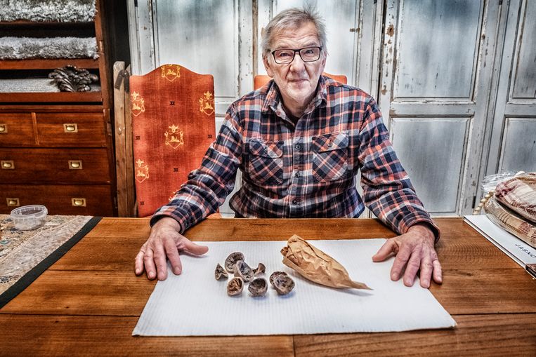 Herman Collignon toont een deel van de vondst: gedroogde sinaasappelresten en het inpakpapier van een slager die in de jaren 1940 op de Truiense Grote Markt was gevestigd. Beeld Tim Dirven